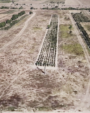 Oportunitate Investitie Teren Intravilan de vanzare - Carcea - imagine 2