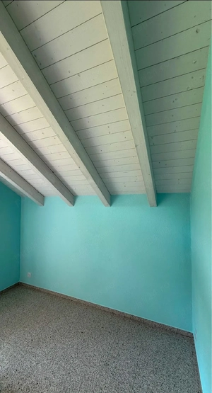 : Zugrav   Renovări   Demolări   Curățare jgheaburi   