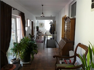 Casa tip Parter, amprenta 346 mp, teren 7241 mp, POGOANELE - imagine 11