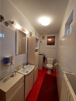 Casa tip Parter, amprenta 346 mp, teren 7241 mp, POGOANELE - imagine 16