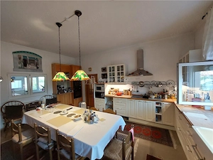 Casa tip Parter, amprenta 346 mp, teren 7241 mp, POGOANELE - imagine 13