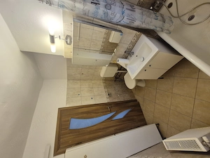 3 Cam-Girocului-3 Min de Spitalul Judetean-Mobilat-Centrala-Aer conditionat-400 Euro!Negociabil - imagine 16
