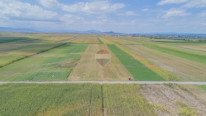 Teren extravilan de vânzare – 14.750 mp – Prejmer, județul Brașov - imagine 11
