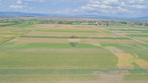Teren extravilan de vânzare – 14.750 mp – Prejmer, județul Brașov - imagine 8
