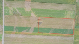 Teren extravilan de vânzare – 14.750 mp – Prejmer, județul Brașov - imagine 2