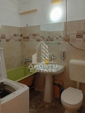 Grasoniera de inchiriat, 25 mp, zona Lunei, Timisoara - imagine 5