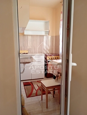 Grasoniera de inchiriat, 25 mp, zona Lunei, Timisoara - imagine 4