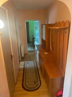 APARTAMENT 2 CAMERE COSTESTI  - imagine 7