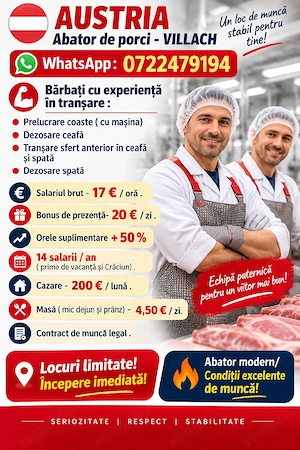AUSTRIA  - Abator porc  - Villach  ! 