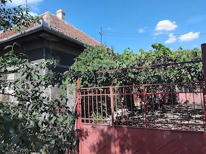 Casa de vanzare in Ineu - ARAD