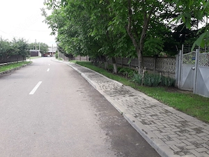 Vând grădină în Tg.Frumos