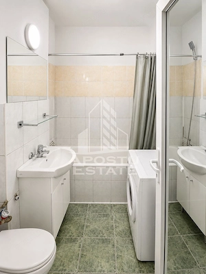 Apartament 1 camera zona Micalaca - imagine 3