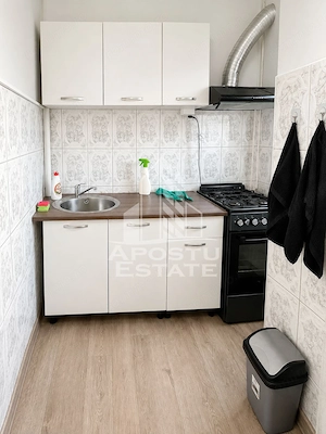 Apartament 1 camera zona Micalaca - imagine 2