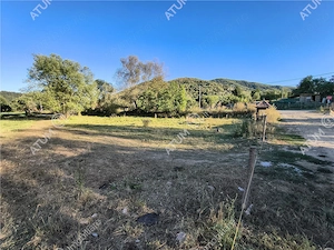 Teren 2420 mp in Fantanele langa Sibiu - oportunitate investitie - imagine 5