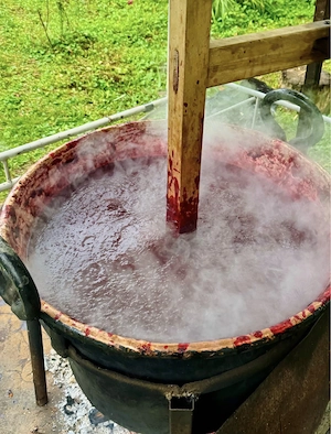 Magiun de prune fara zahar sau conservanti