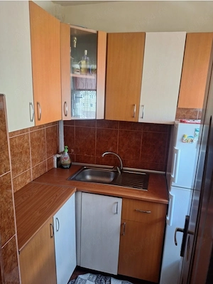 Apartament 1 camera pe strada Poetului - imagine 5