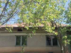 Vând casă cu 5 camere si beci, suprafață teren de 1000 mp,40 km de București, apa, curent,canalizare - imagine 3