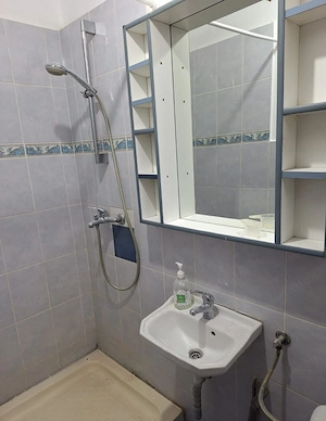 De inchiriat apartament 2 camere Iosefin - imagine 12