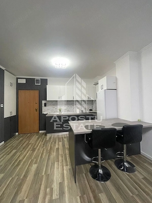 Apartament cu 2 camere de inchiriat - Centrala Proprie, Torontalului - imagine 5