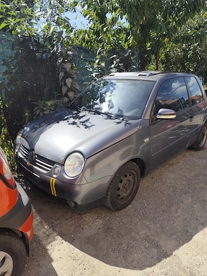 dezmembrez w lupo an 2004