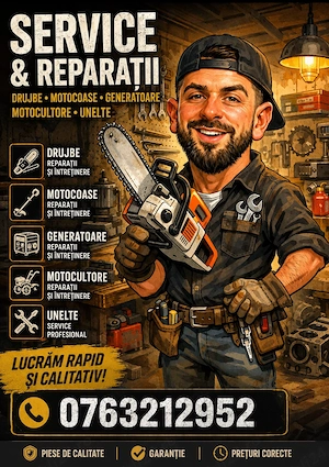 Reparatii drujbe, motocoase, motosape, generatoare