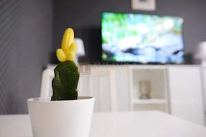 3 camere-2 dormitoare| Soarelui| etaj 1| parcare| termoficare| pet friendly - imagine 17