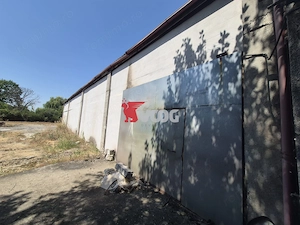 HALĂ INDUSTRIALĂ + CASĂ DE VÂNZARE – ZONA FREIDORF - imagine 4