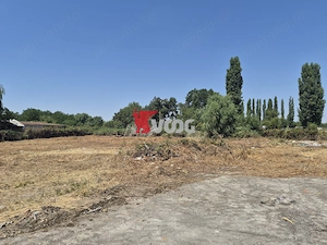 HALĂ INDUSTRIALĂ + CASĂ DE VÂNZARE – ZONA FREIDORF - imagine 10
