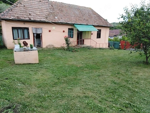 Vand casa-loc.Lepindea - jud Mures - imagine 3