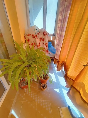 Vânzare apartament
