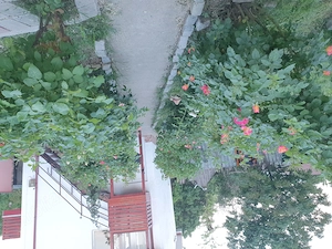 Vand casa Tămăoani Județul Galati - imagine 3