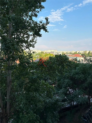 Vanzare apartament 3 camere renovate Parcul Circului - imagine 16
