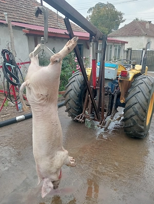 Macara (girafă) pentru tractor 