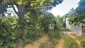 Casa cu teren 2500 mp