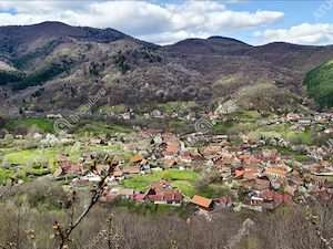 Teren 2420 mp in Fantanele langa Sibiu - oportunitate investitie - imagine 9