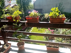 PROPRIETAR inchiriez et.1+2 in vila Rosu Chiajna, 4 camere, 2 bai, terasa, 2 parcari - imagine 4