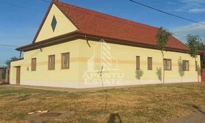 Casa individuala de vanzare, Iecea Mica, Judet Timis - imagine 2