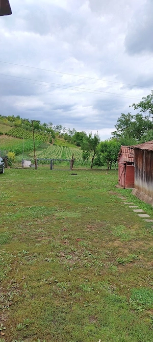 Casa de vanzare intabulata cu 55 ari de gradina  .ie si livada.in com  .Tritenii de jos jud Cluj  .  - imagine 7
