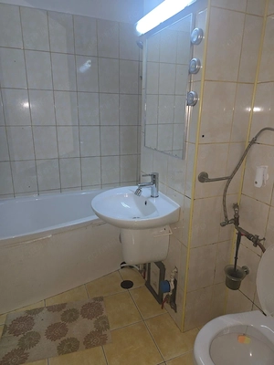 De inchiriat apartament 2 camere in  Piata Verde - imagine 8