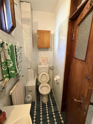 Vanzare Vila Bucurestii Noi Parc Bazilescu - imagine 20