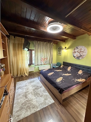 Vanzare Vila Bucurestii Noi Parc Bazilescu - imagine 10