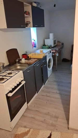 Casă de vânzare Orbesca de Sus TR - imagine 2