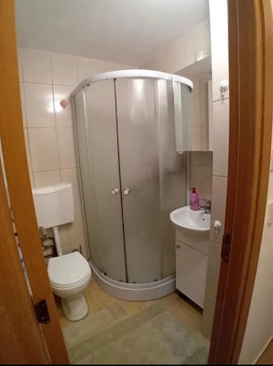 De inchiriat apartament 2 camere in Calea Sagului - imagine 5