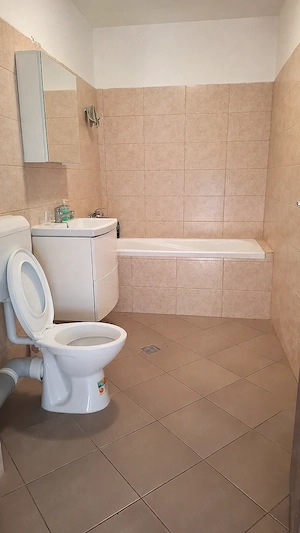 Vanzare 2 camere - Trapezului - 2017, 82.000 Euro NEGOCIABIL - imagine 8