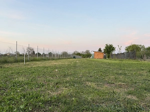 Teren intravilan 2.200 mp în Poenari (Ulmi, Giurgiu)   împrejmuit, cu puț, livadă și solar - imagine 3