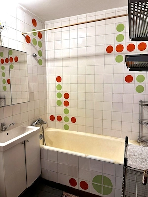 Apartament 2 camere de închiriat mobilat în Banu Manta – Titulescu, - imagine 12