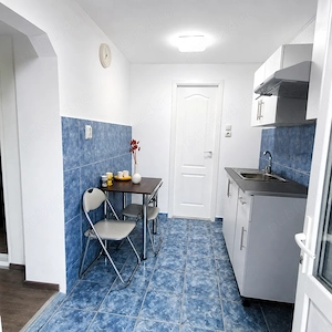 Proprietar vand casa renovata , cu teren 2000 mp ,deschidere de 113 m,in comuna Farcasele,jud.Olt - imagine 8