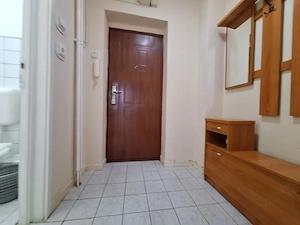 Apartament cu 1 camera-32 mp - Brancoveanu - imagine 9