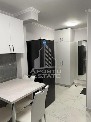 Apartament 2 camere de inchiriat, zona Medicina,Take Ionescu,Timisoara - imagine 7