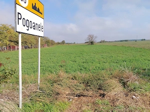 Teren 2.600 mp - deschidere 35m-intrare Pogoanele dinspre Buzau - imagine 4